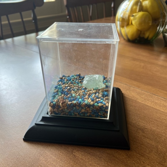 Frog Habitat - Picture 2 of 9